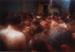 tomatina: mittendrin statt nur dabei (28.08.2002)